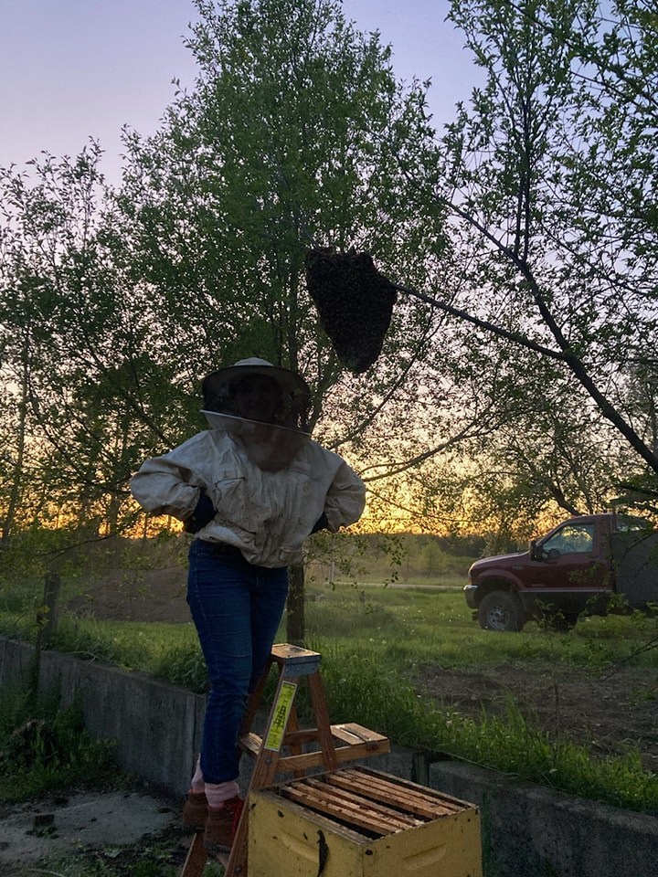 Beekeeping moment at sunset