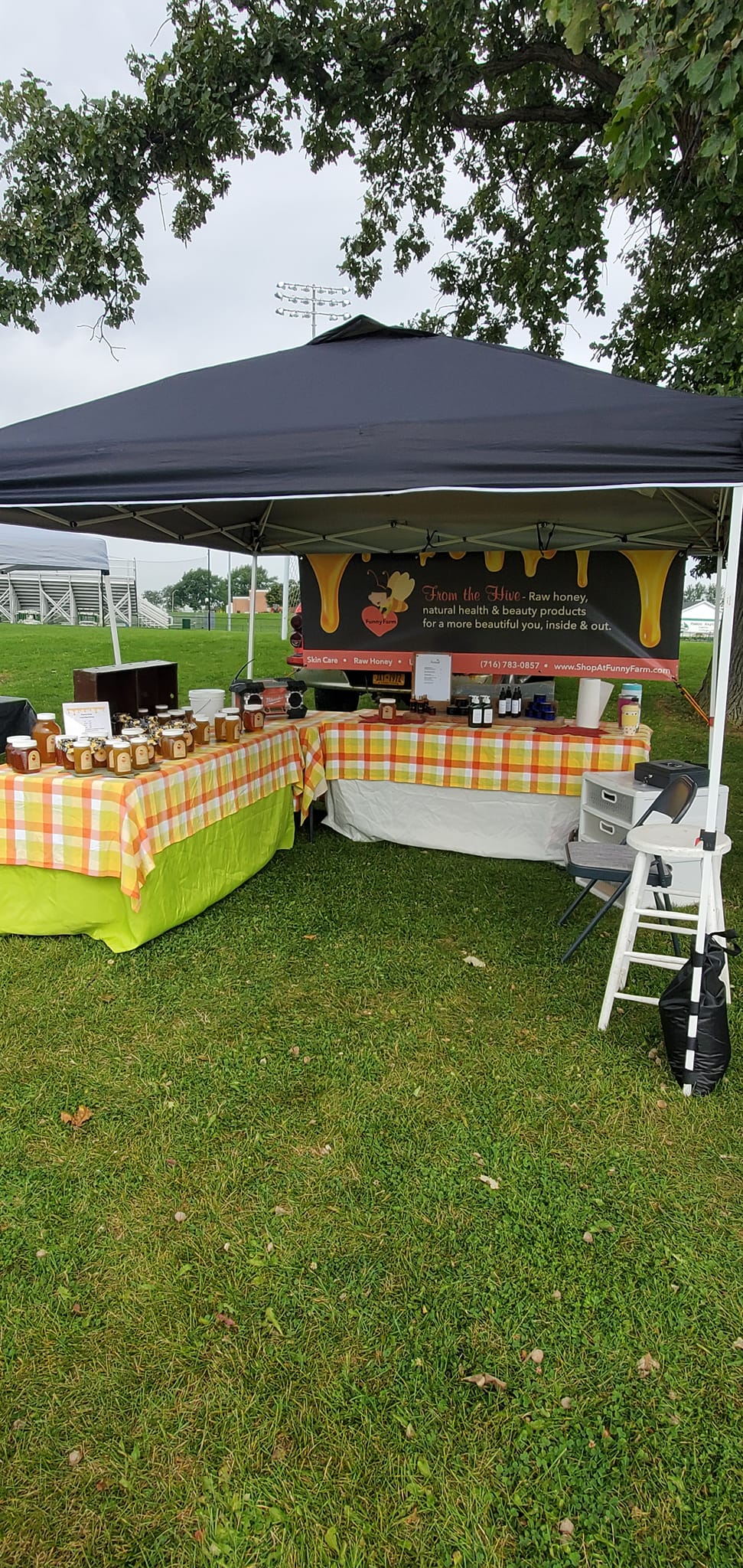 Funny Farm setup at a local vendor table